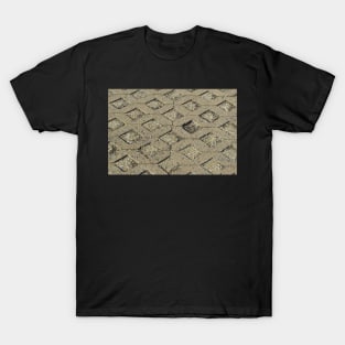 Brick Walkway T-Shirt